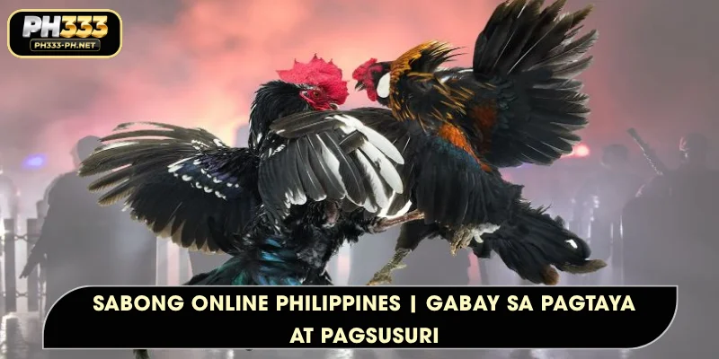 Sabong Online Philippines | Gabay sa Pagtaya at Pagsusuri